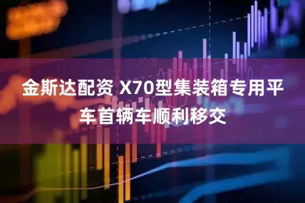 金斯达配资 X70型集装箱专用平车首辆车顺利移交